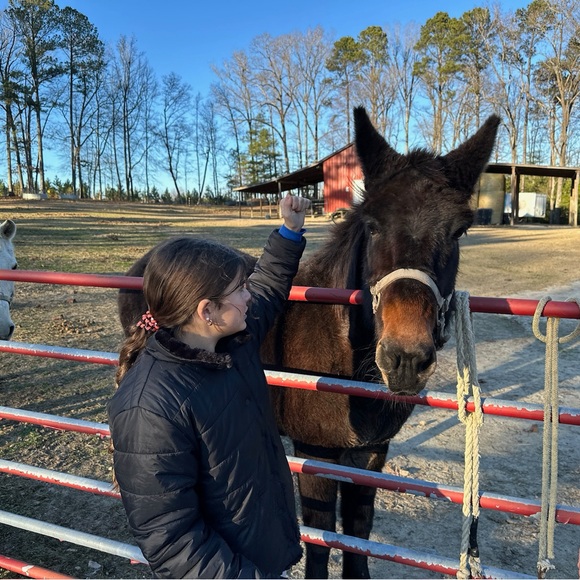 Meet your Posher, Jane - Picture 2 of 2